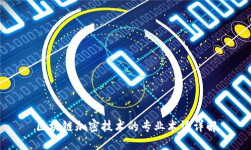 区块链加密技术的专业术语详解